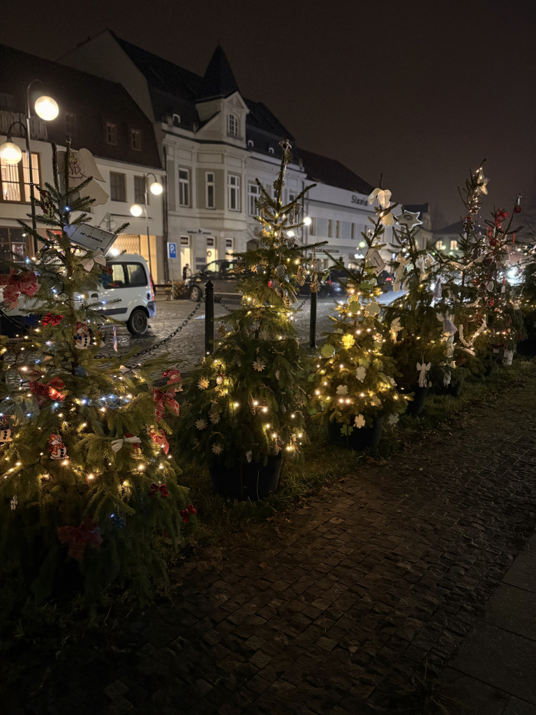 Nej vánoční stromečky zdobí holešovské náměstí