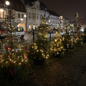 Nej vánoční stromečky zdobí holešovské náměstí